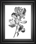 22x26 Hawthorn Berry Branch I By Emma Scarvey - White