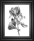 22x26 Hawthorn Berry Branch II By Emma Scarvey - White