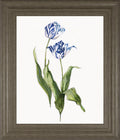22x26 Lively Botanical II By Sally Swatland - White