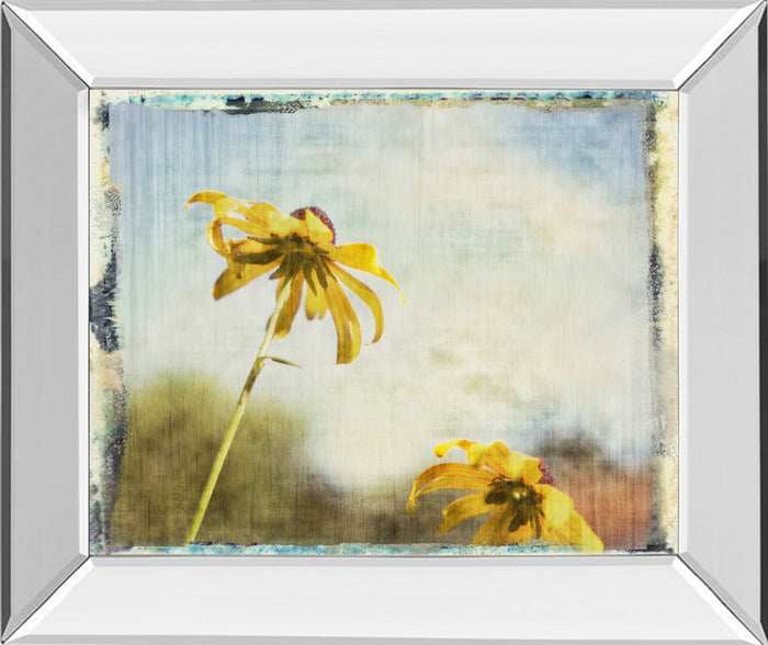 Blackeyed Susan Il By Meghan Mcsweeney - Mirror Framed Print Wall Art - Light Blue