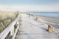 Eternity Boardwalk By Danita Delimont (Small) - Gray