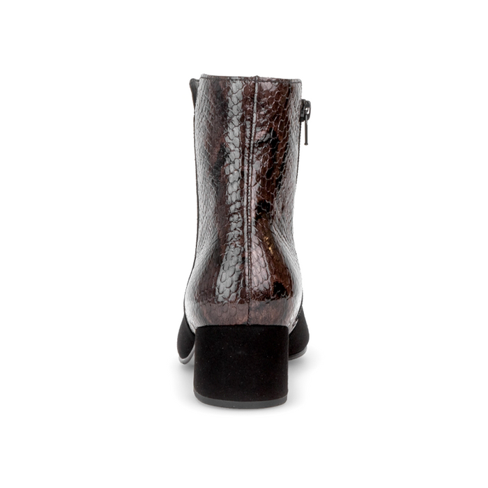 Gabor Sharon Heeled Boot (Women) - Black/Mocca Boots - Casual - Mid - The Heel Shoe Fitters