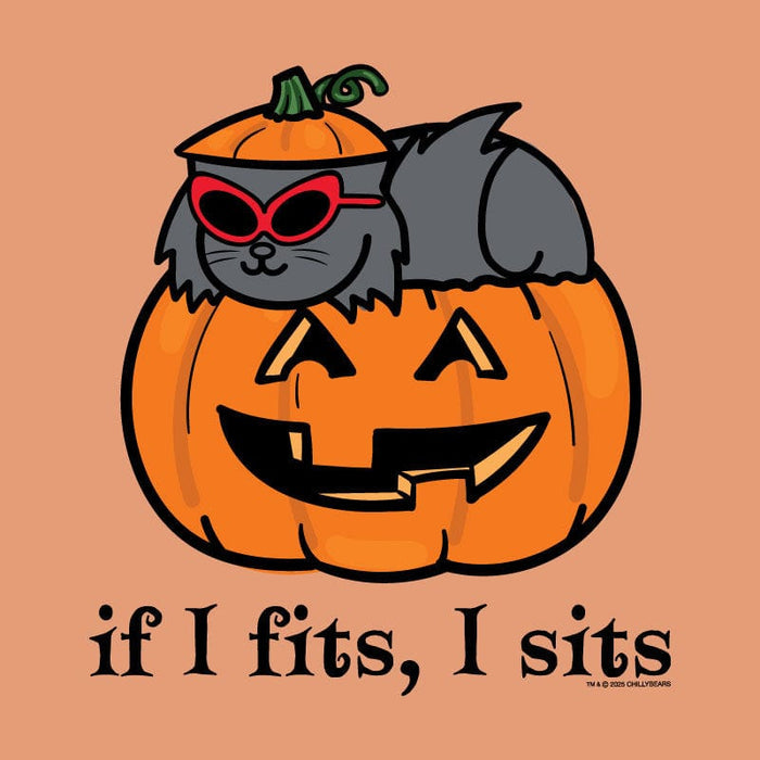 If I Fits I Sits Pumpkin - Ladies T-Shirt V-Neck