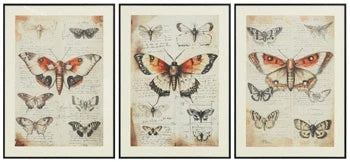 Jossletts Wall Art (Set of 3)