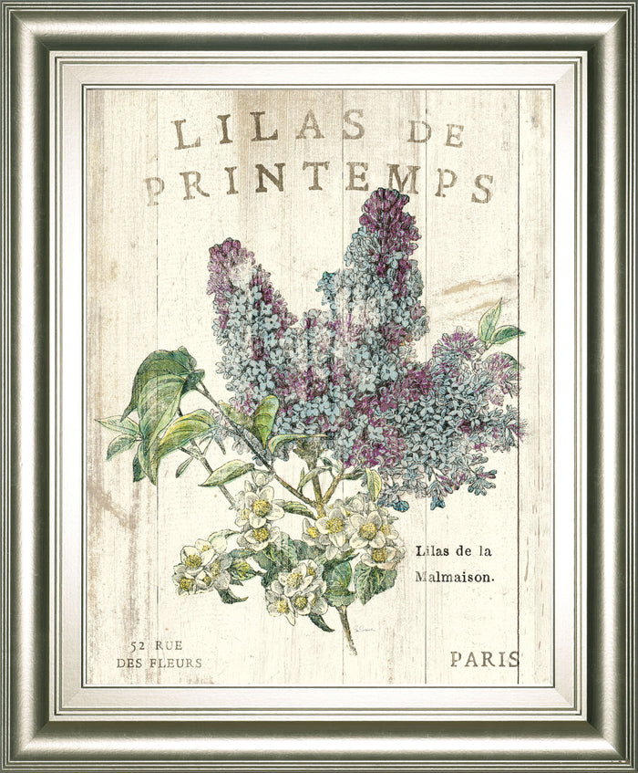Lilas De Printemps By Sue Schlabach 22x 26 - Beige