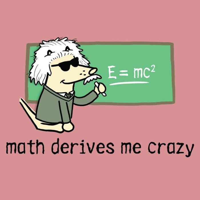 Math Derives Me Crazy - Ladies T-Shirt V-Neck