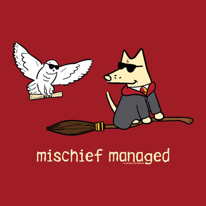 Mischief Managed - Ladies T-Shirt V-Neck