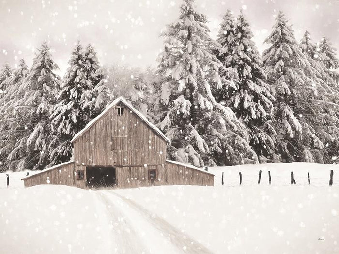 North Country By Lori Deiter (Small) - Beige