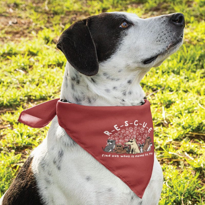 RESCUE - Doggie Bandana