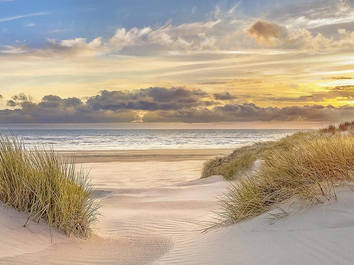 Sand Sunset By Mike Calascibetta (Small) - Beige