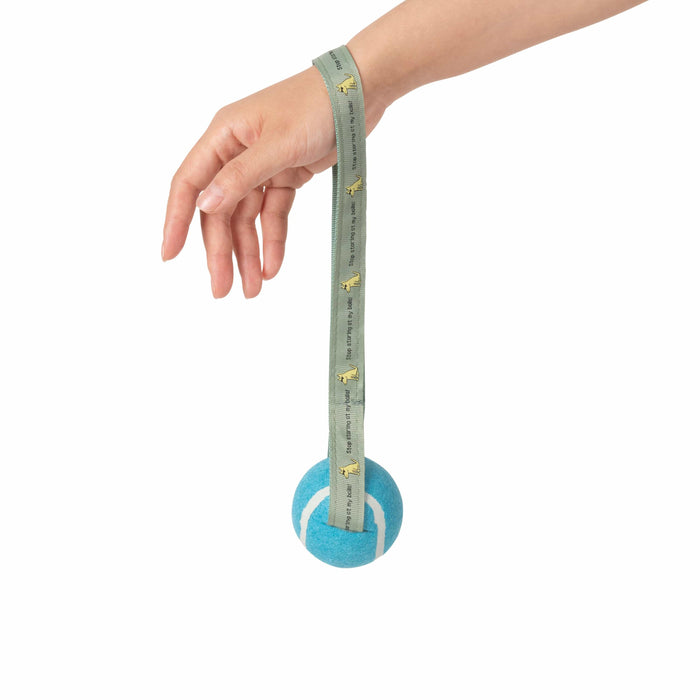 Tennis Ball Launcher - DONATED DIRECTLY TO SHELTER
