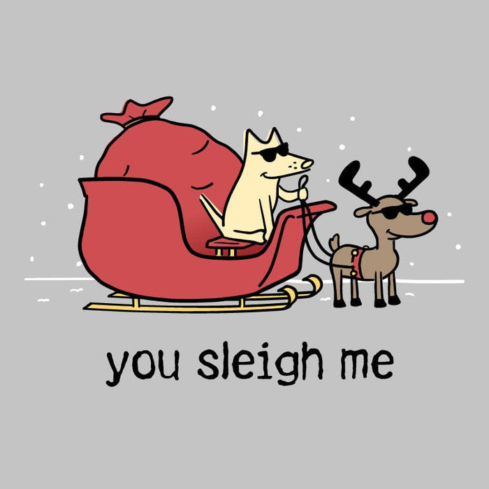 You Sleigh Me - Ladies T-Shirt V-Neck